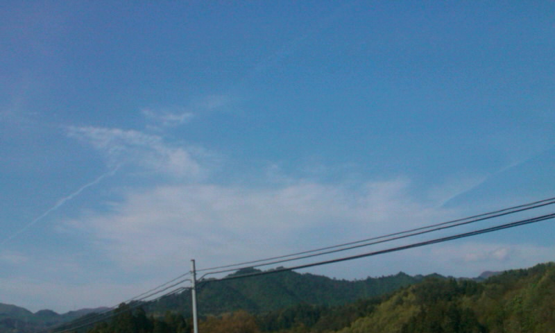 88870.jpg nk_