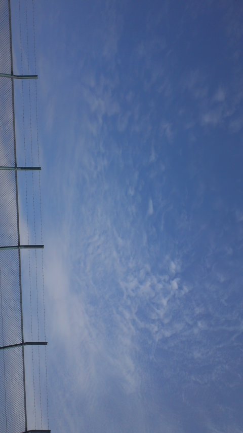 88986.jpg nk_