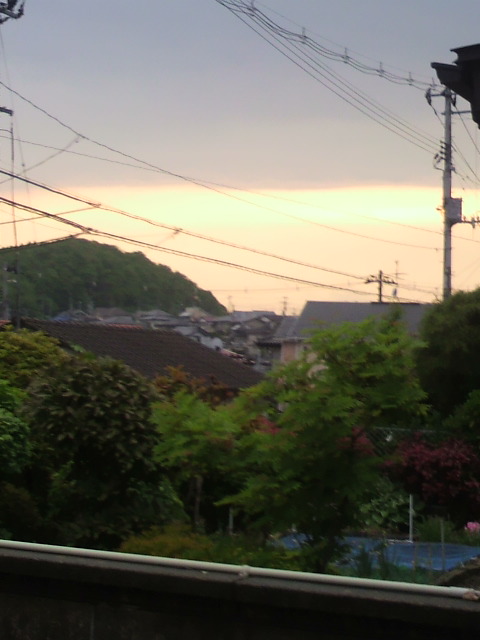 89002.jpg nk_