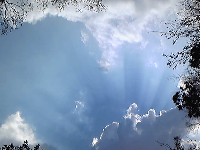 89131.jpg nk_