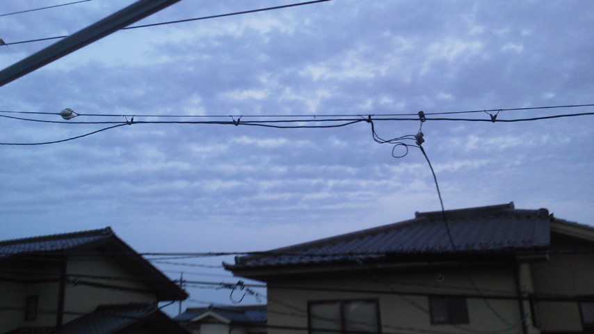 89199.jpg nk_