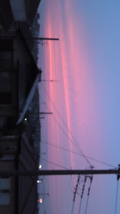 89367.jpg nk_