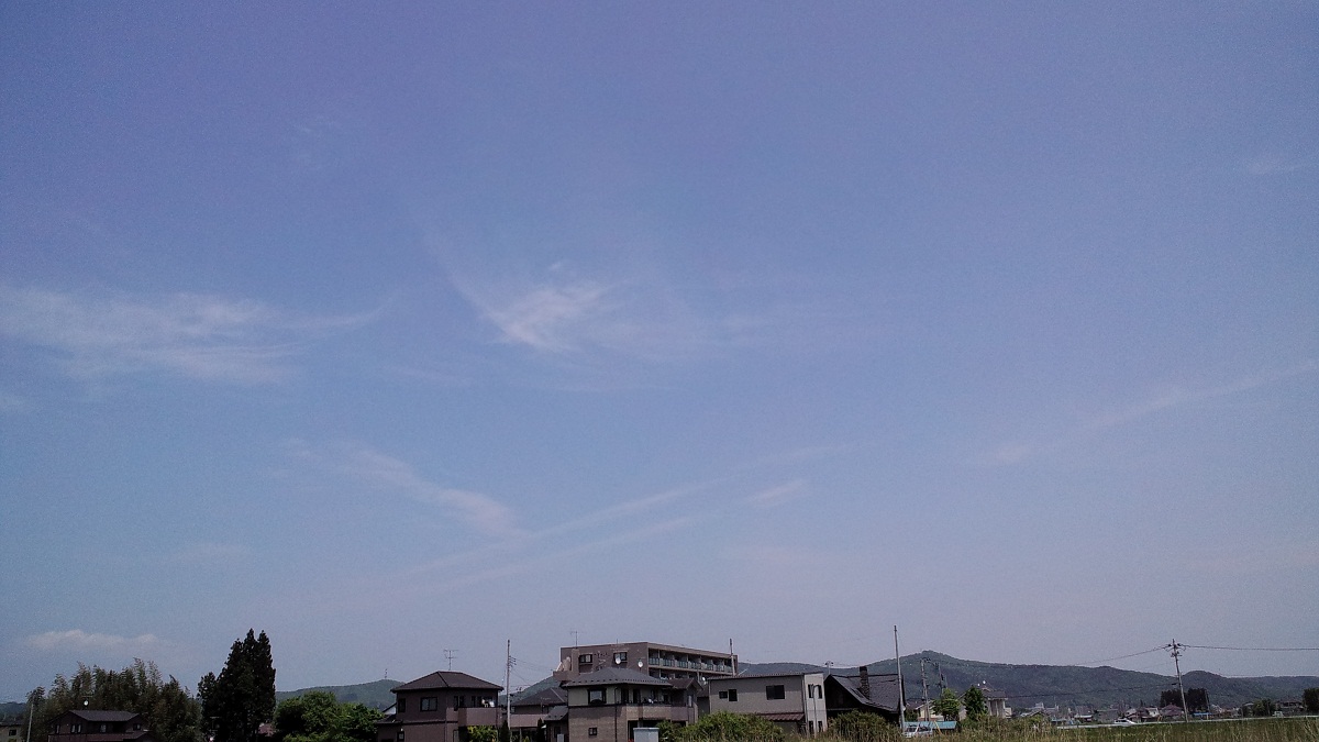 89481.jpg nk_