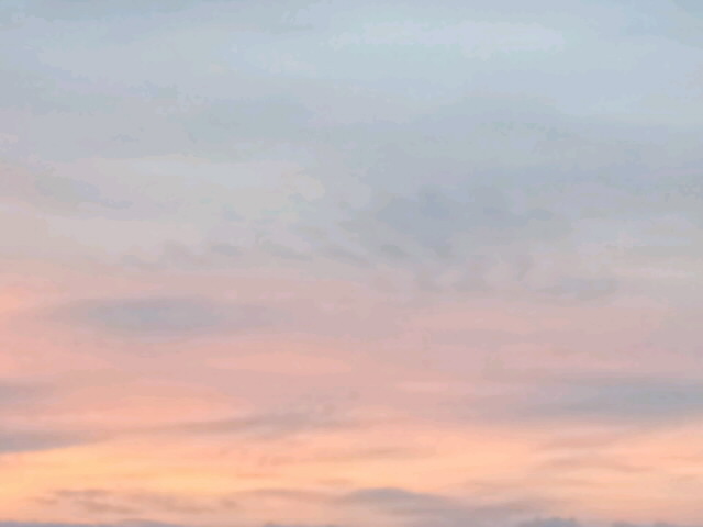 89556.jpg nk_