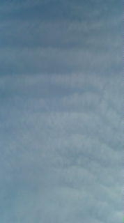 89869.jpg nk_