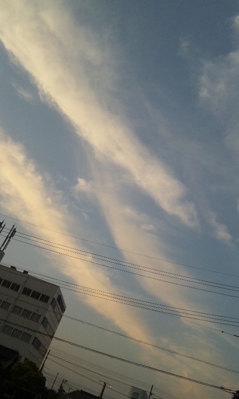 89963.jpg �n�k�_