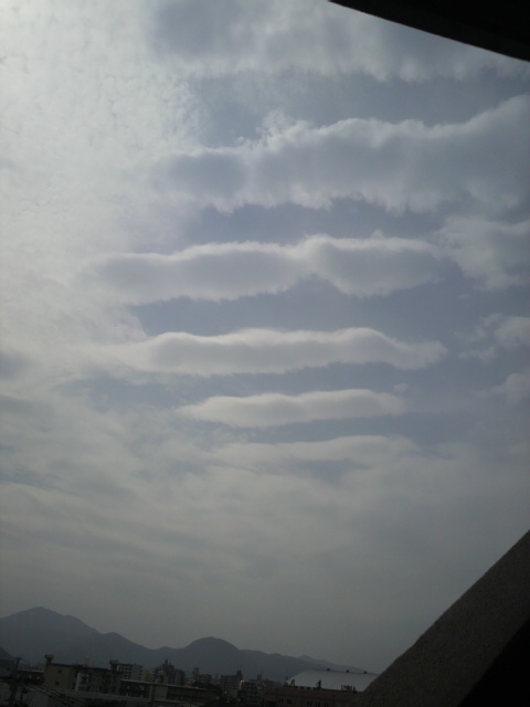 90101.jpg nk_