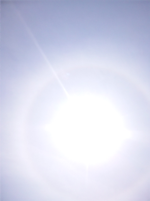90127.jpg nk_