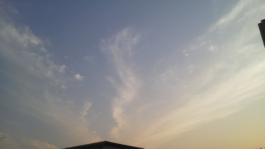 90133.jpg �n�k�_