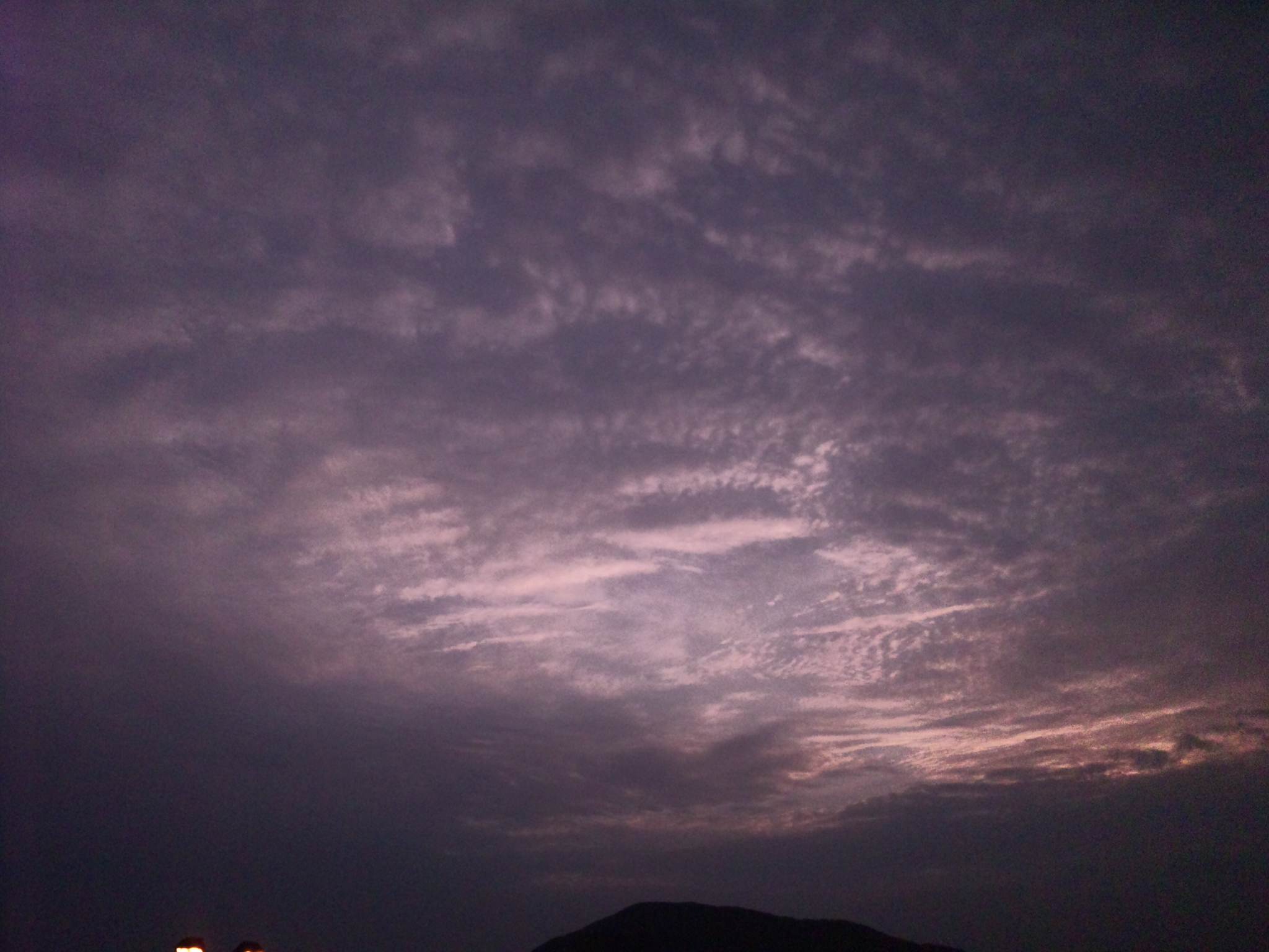 90221.jpg nk_