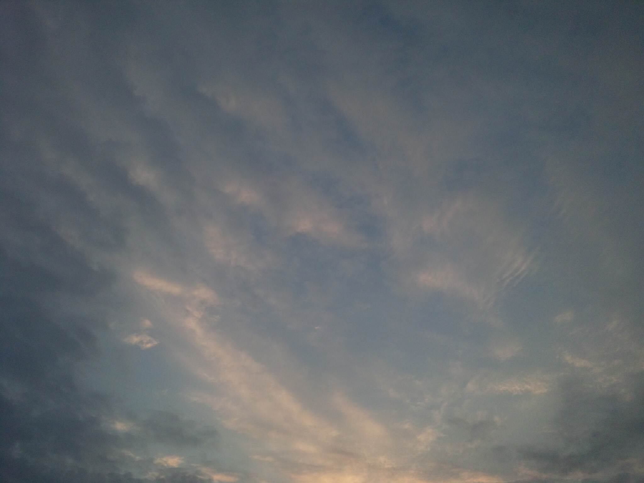 90368.jpg nk_