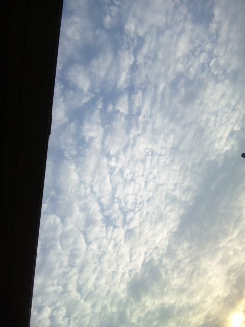 90426.jpg �n�k�_