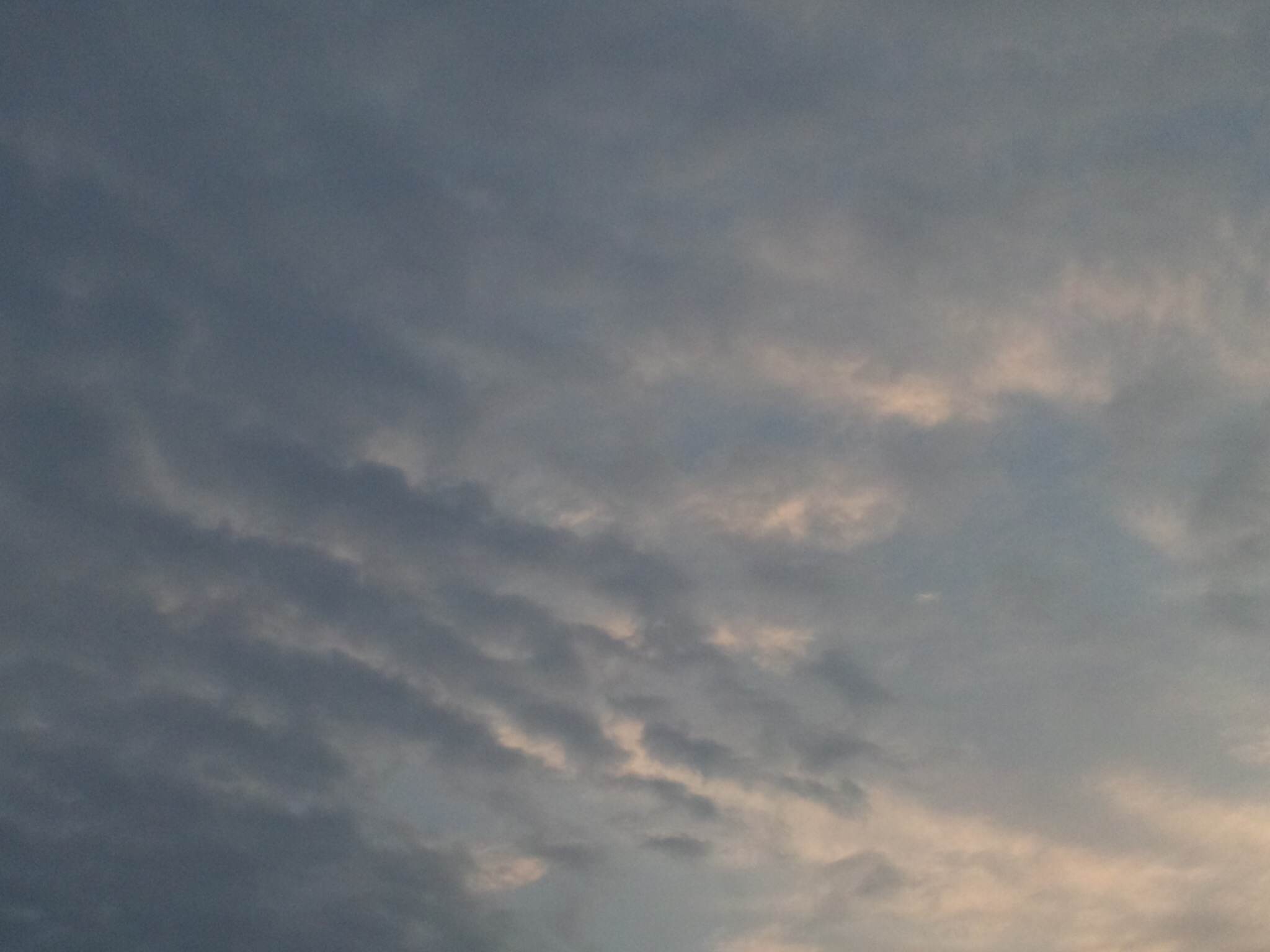 90459.jpg nk_