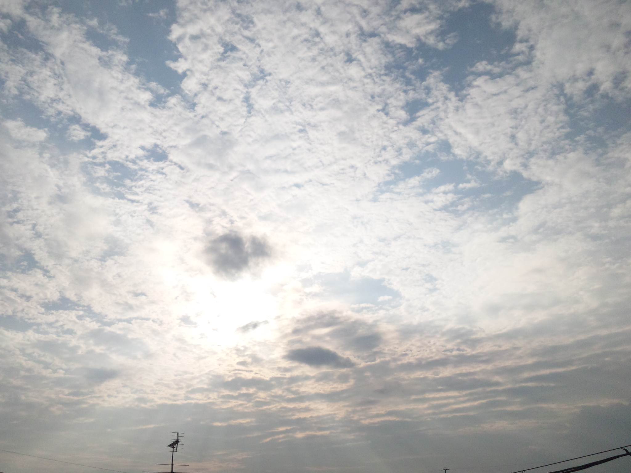 90460.jpg nk_