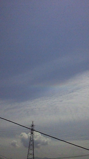 90493.jpg �n�k�_