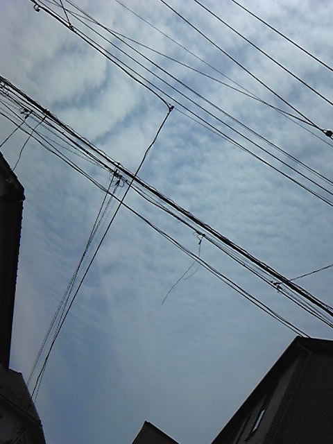 90496.png nk_