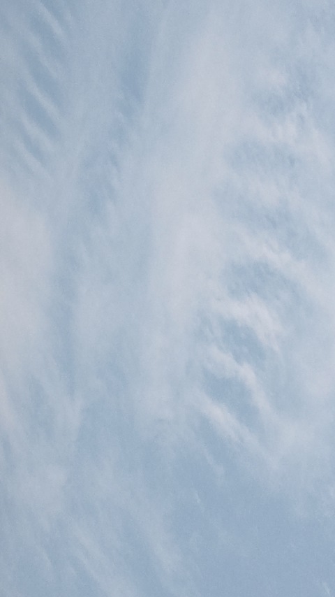 90527.jpg �n�k�_