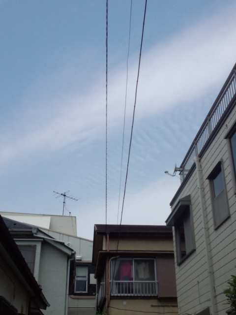 90535.jpg �n�k�_