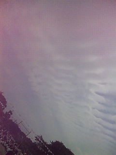 90553.jpg nk_