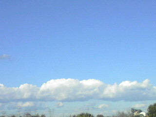 118302.jpg nk_