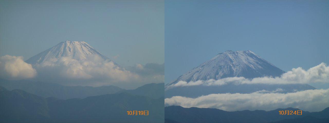 118352.jpg nk_