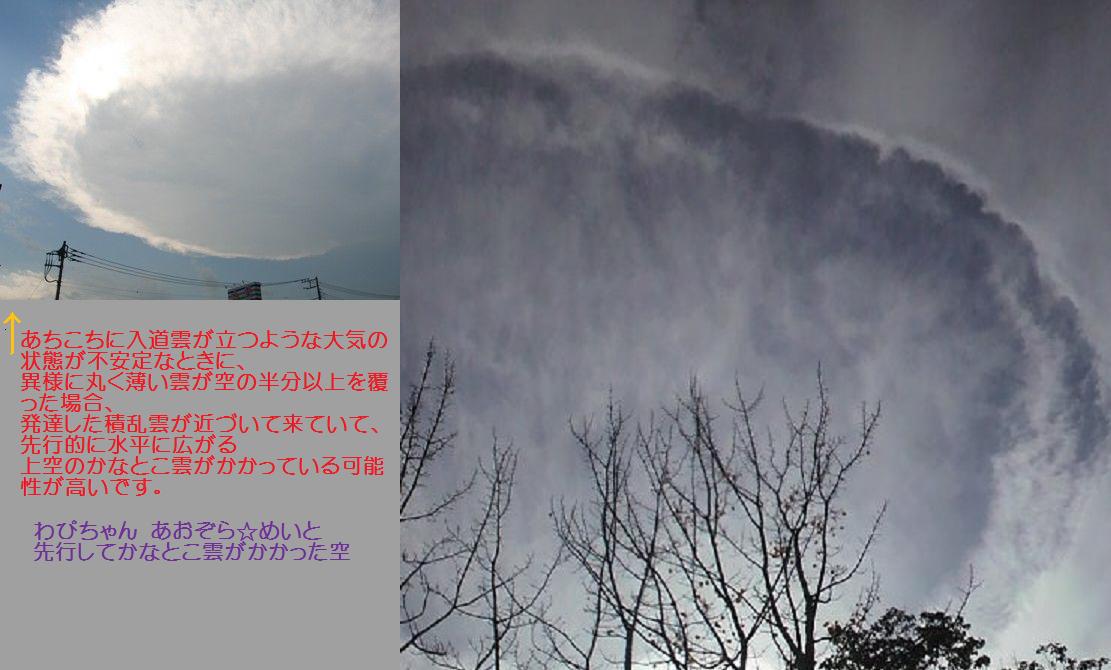 118378.jpg nk_