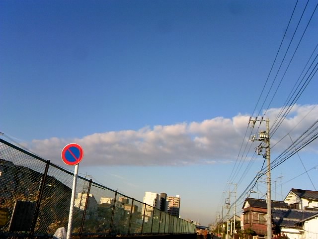 118473.jpg nk_