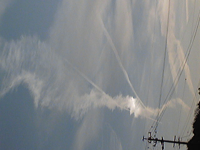 118503.jpg nk_