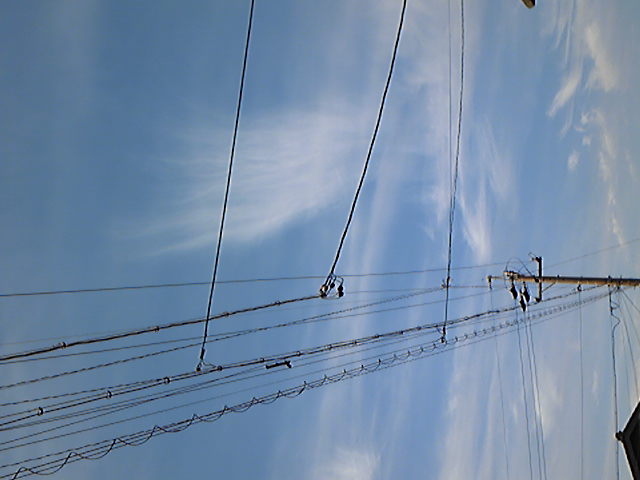 118515.jpg nk_