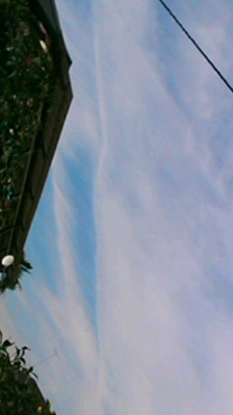 118534.jpg nk_