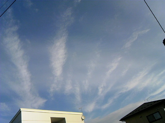 118548.jpg nk_