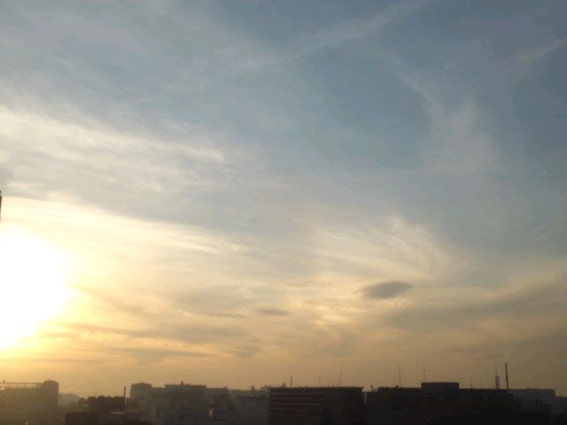 118575.jpg nk_