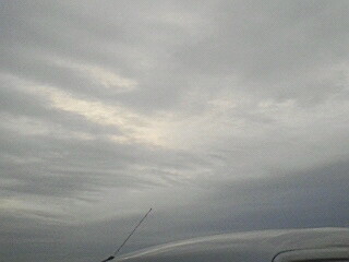 118600.jpg nk_