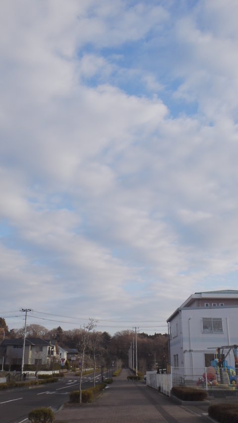 118619.jpg nk_