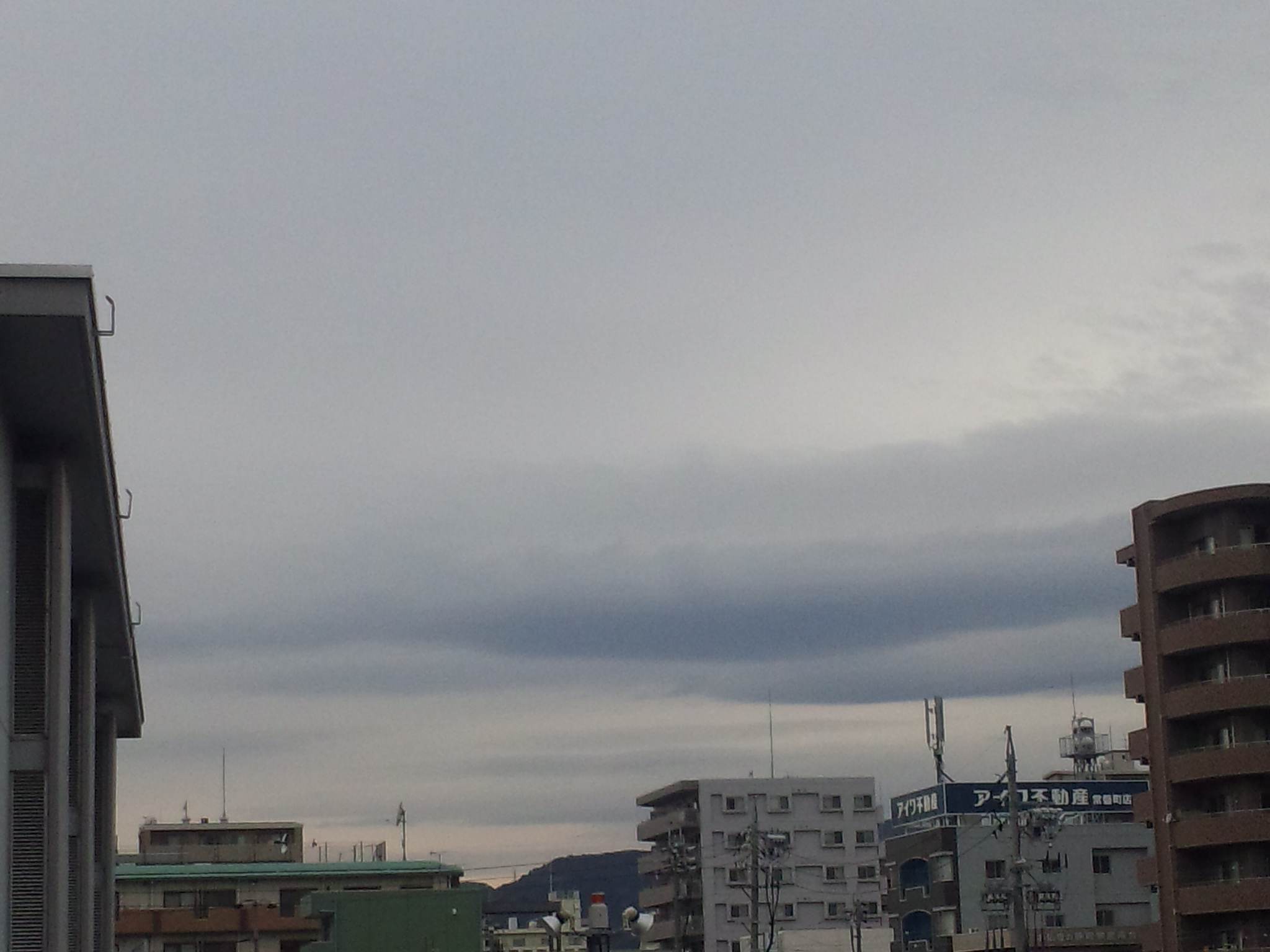 118637.jpg nk_