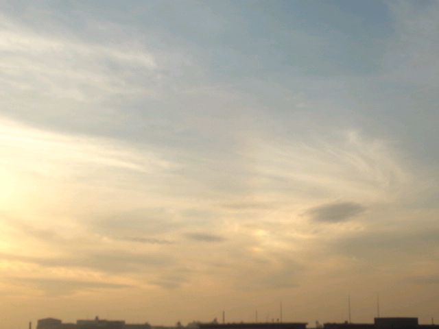 118642.jpg nk_