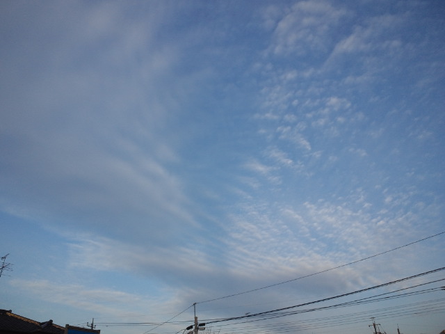 118739.jpg �n�k�_