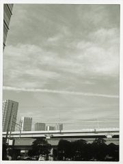 118786.jpg nk_
