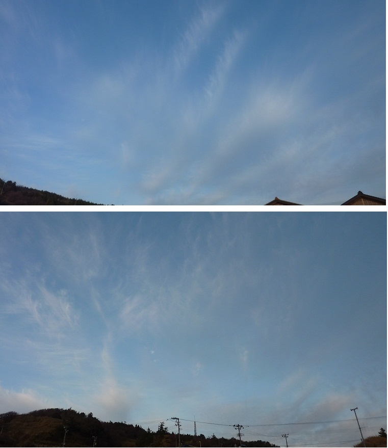 118893.jpg nk_
