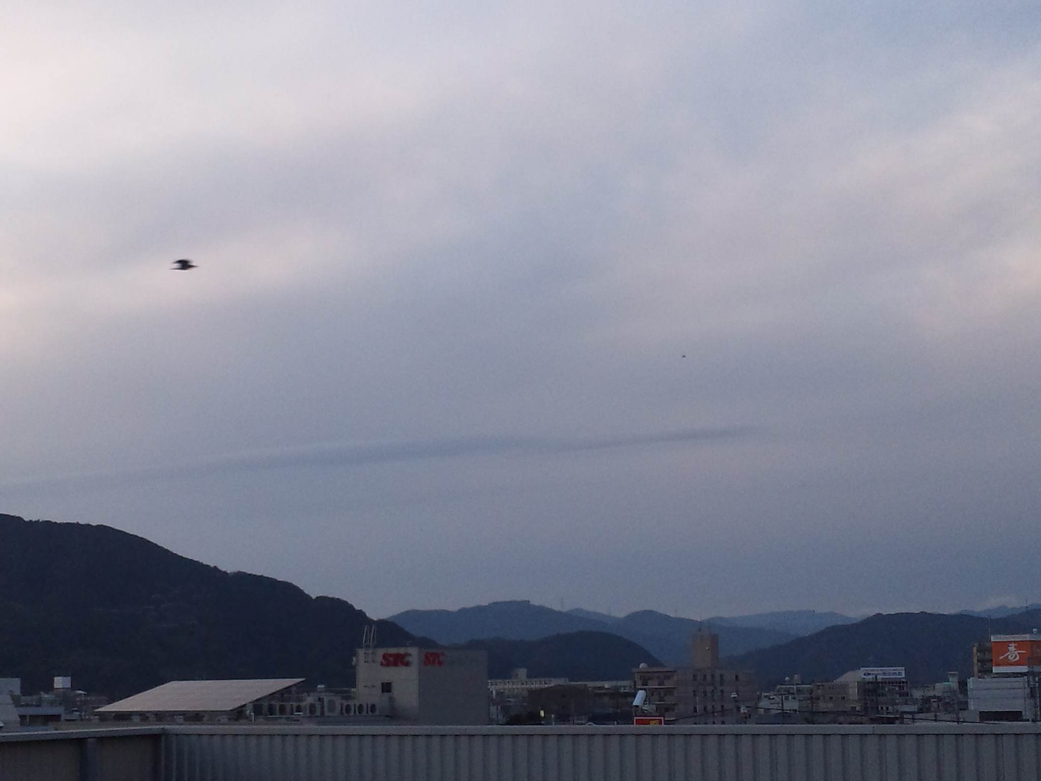 118987.jpg nk_