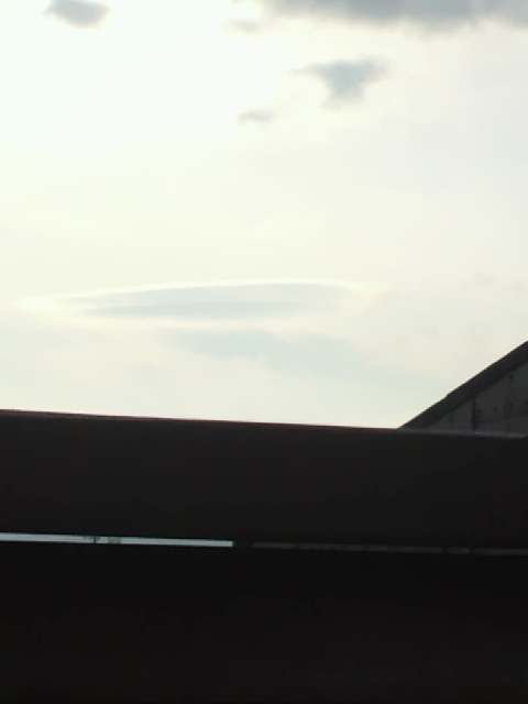 119019.jpg nk_