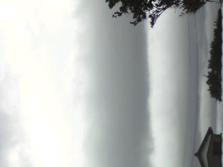 119038.jpg nk_