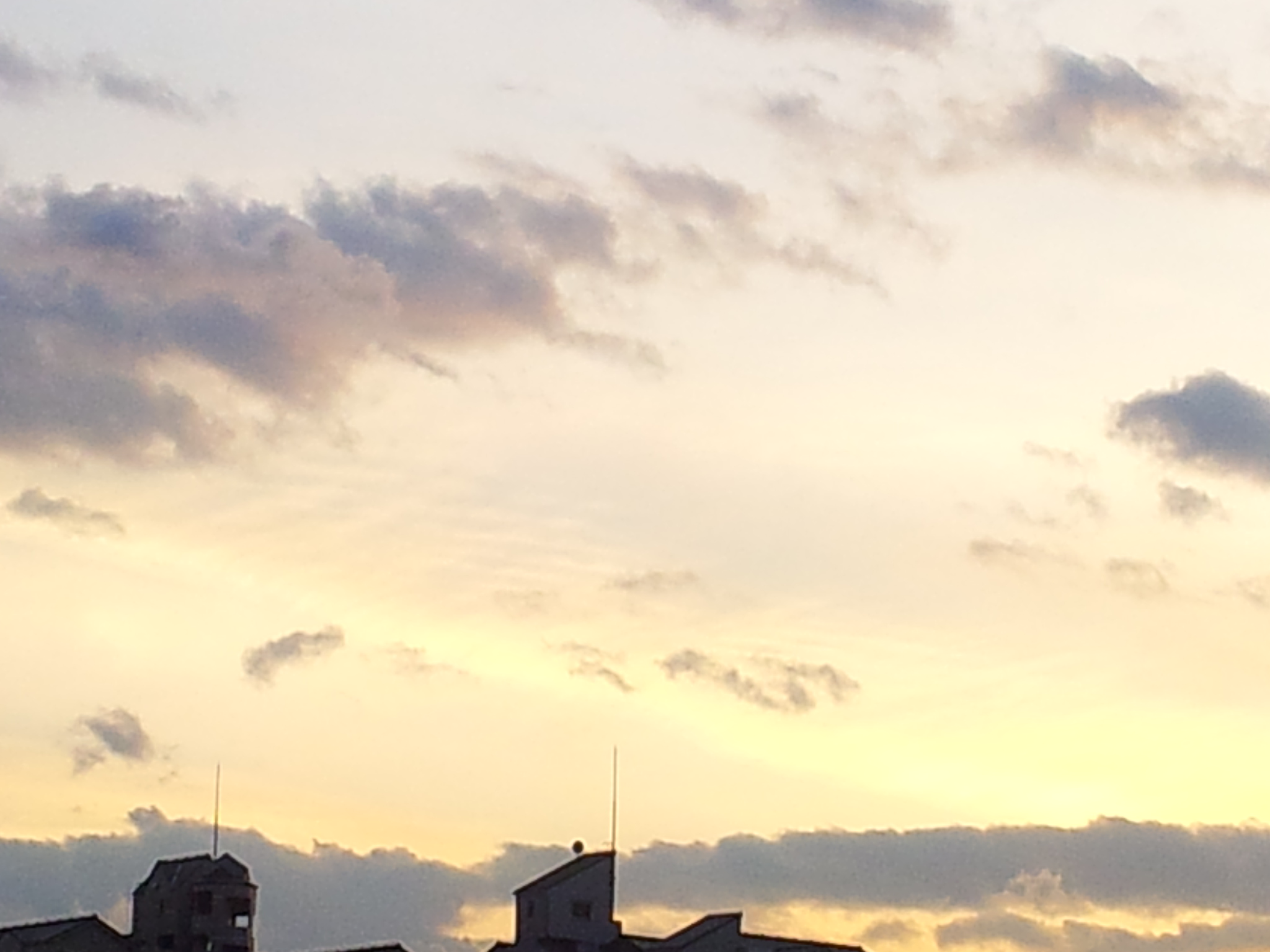 119155.jpg �n�k�_